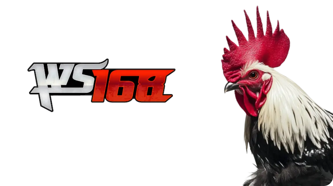 ws168_cockfight